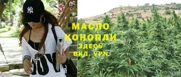 дмт Алексин