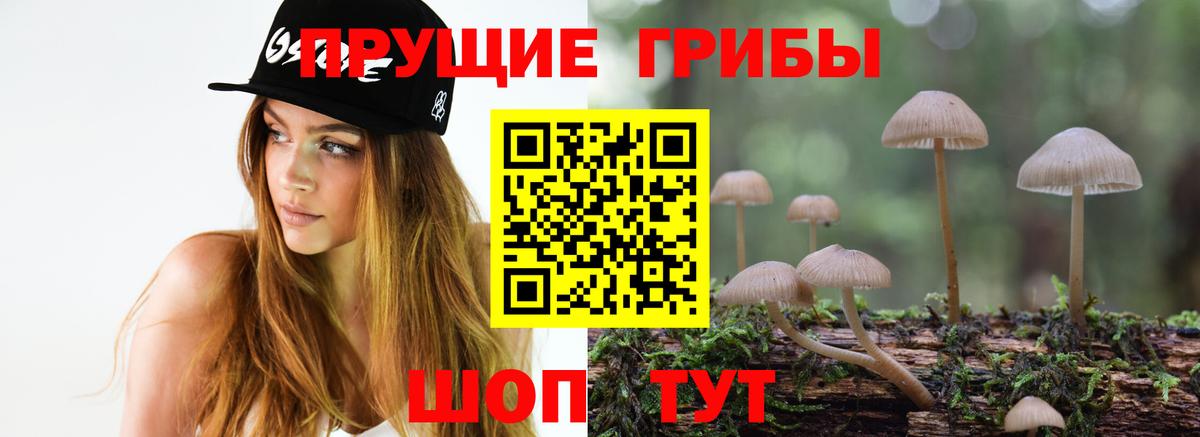 Псилоцибиновые грибы мухоморы  Вход с VPN  Тавда 